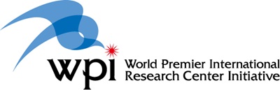 WPI logo