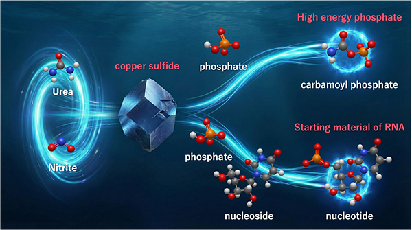 Image for A mild aqueous route to life’s chemical building blocks – ELSI｜EARTH-LIFE SCIENCE INSTITUTE